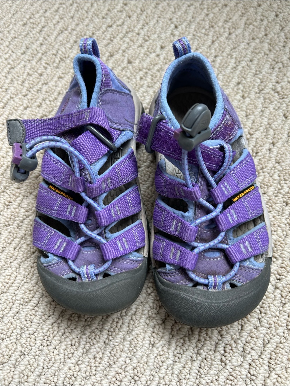 Purple Keens